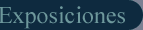 Exposiciones