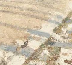 Detalle de Sombra de los rboles y luz