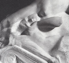 Detalle de capitel, pierna y rostro de Atenas