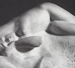 Detalle de Rostro y torso